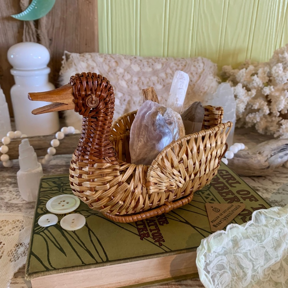 Vintage Duck Basket 🦆
